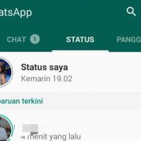 Trik Buat Story WhatsApp Hanya untuk Satu Orang
