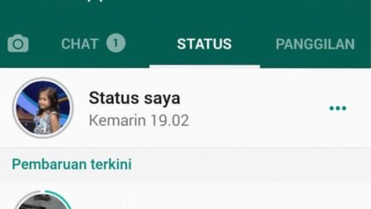 Trik Buat Story WhatsApp Hanya untuk Satu Orang