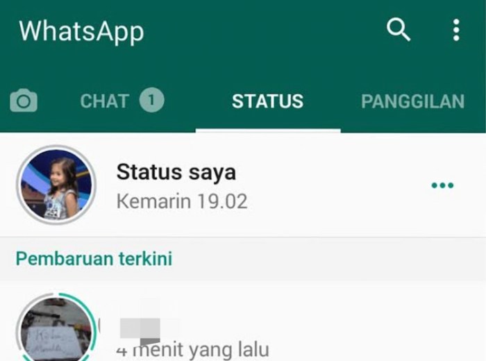 Trik Buat Story WhatsApp Hanya untuk Satu Orang
