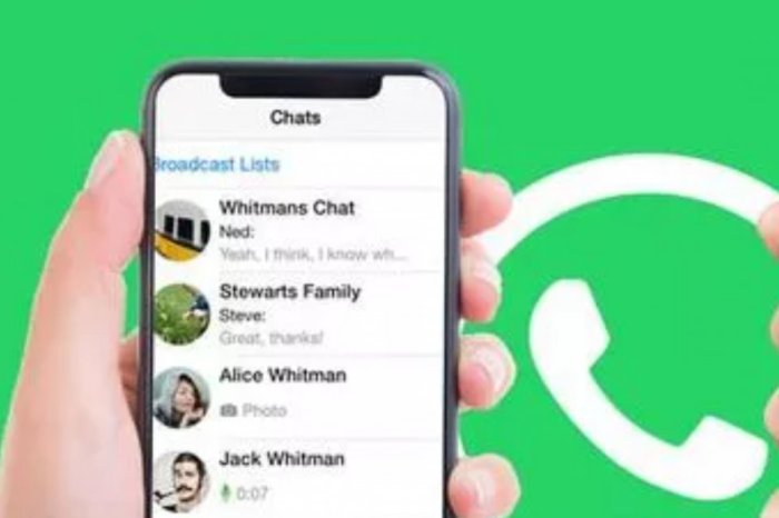 Trik Buat Story WhatsApp Hanya untuk Satu Orang