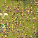 Server Baru Ragnarok Online Classic Menawarkan Leveling Cepat dan Menarik
